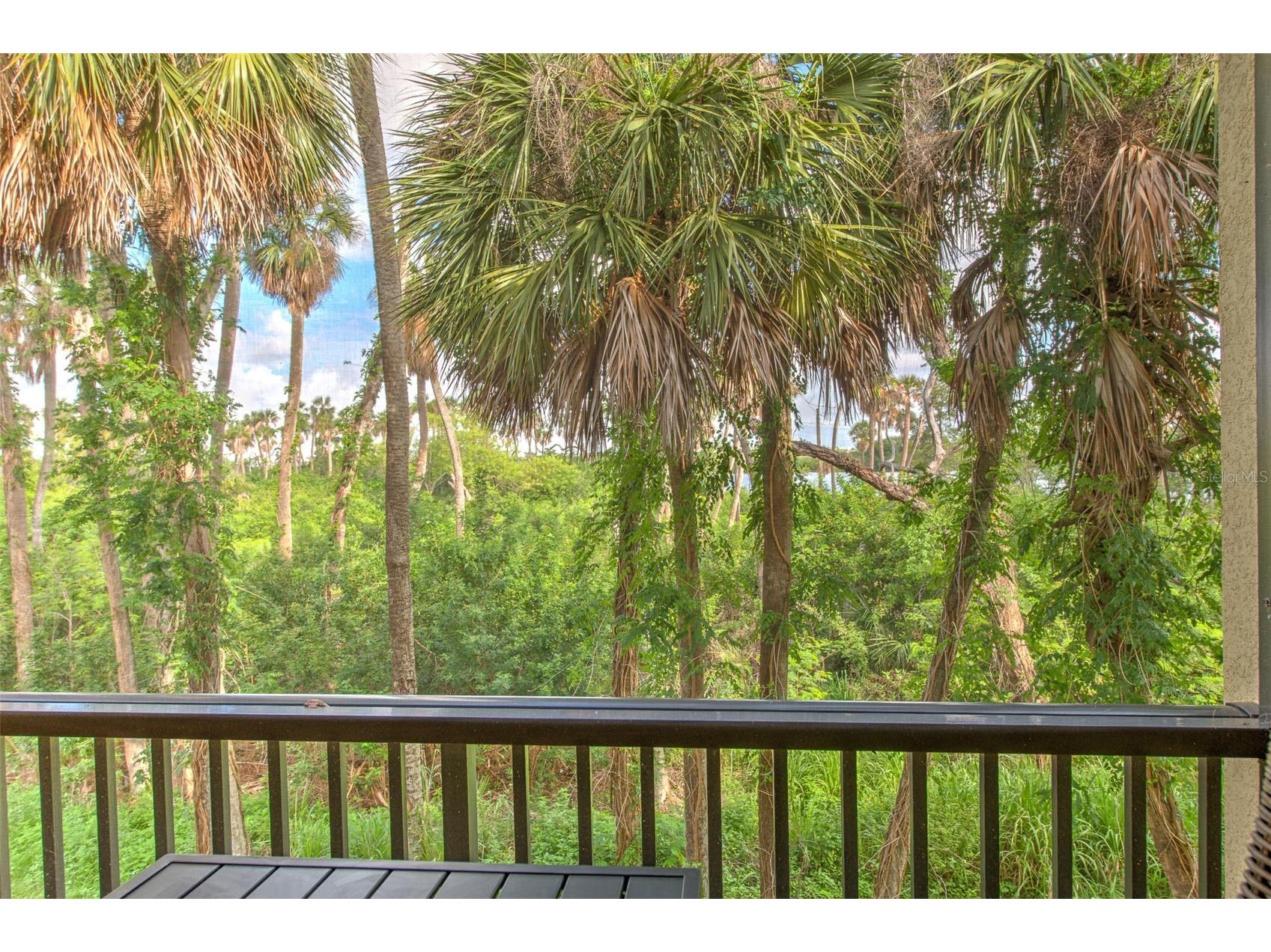 4722 Tuscan Loon Drive Tampa FL 33619 TB8515205 image24
