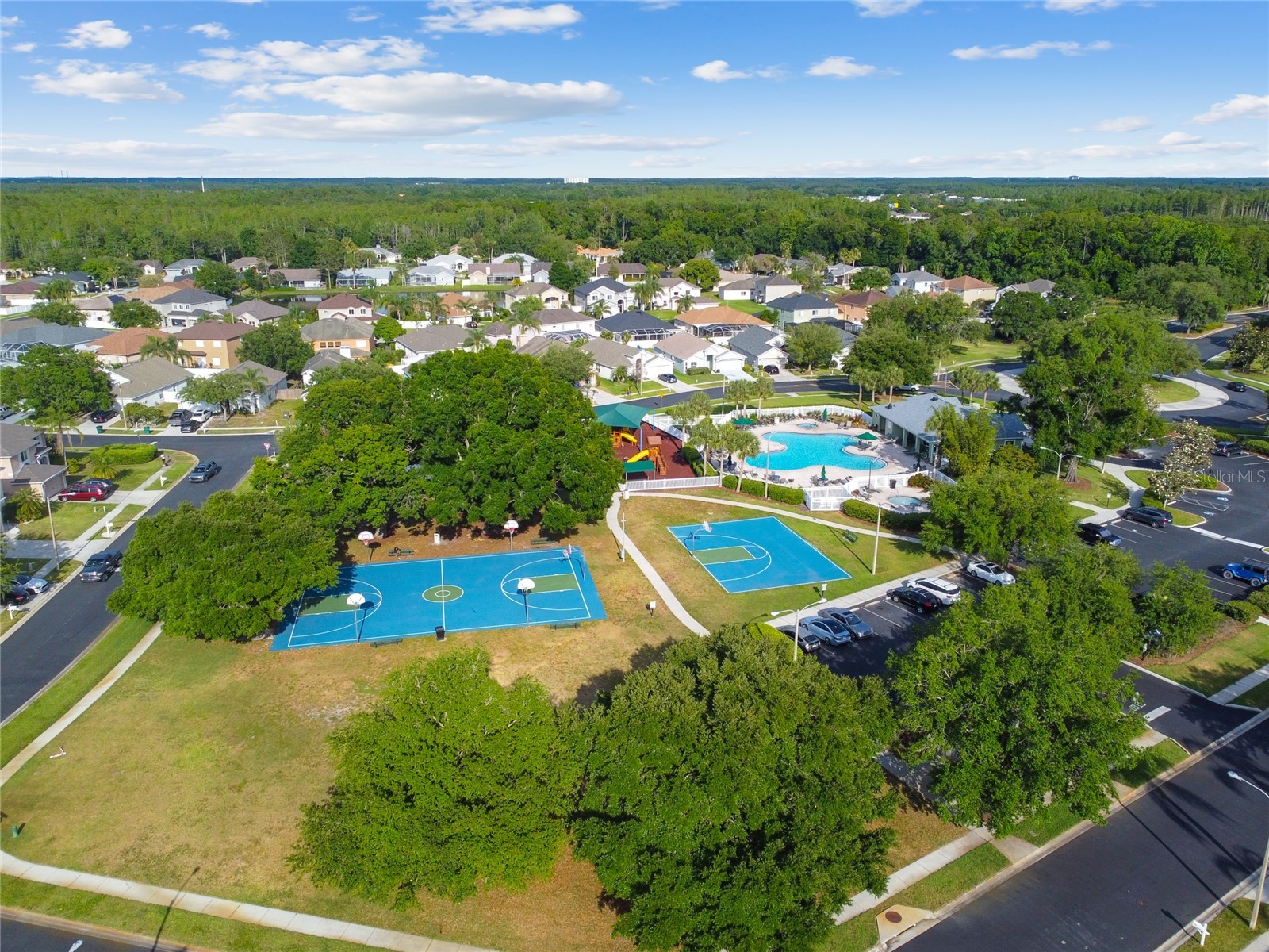 4723 Wessex Way Land O Lakes FL 34639 TB8506990 image68