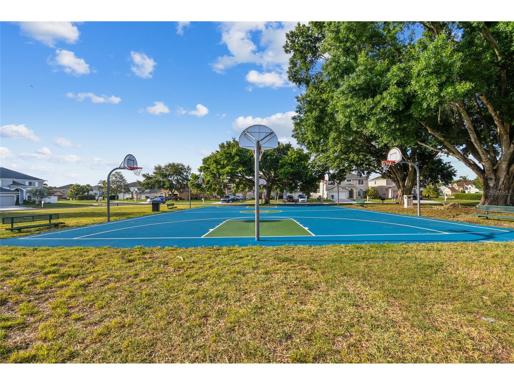 4723 Wessex Way Land O Lakes FL 34639 TB8506990 image96