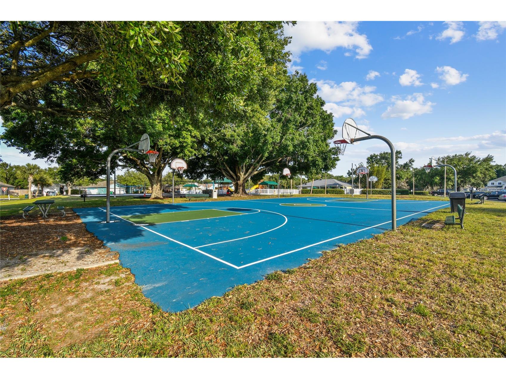 4723 Wessex Way Land O Lakes FL 34639 TB8506990 image98