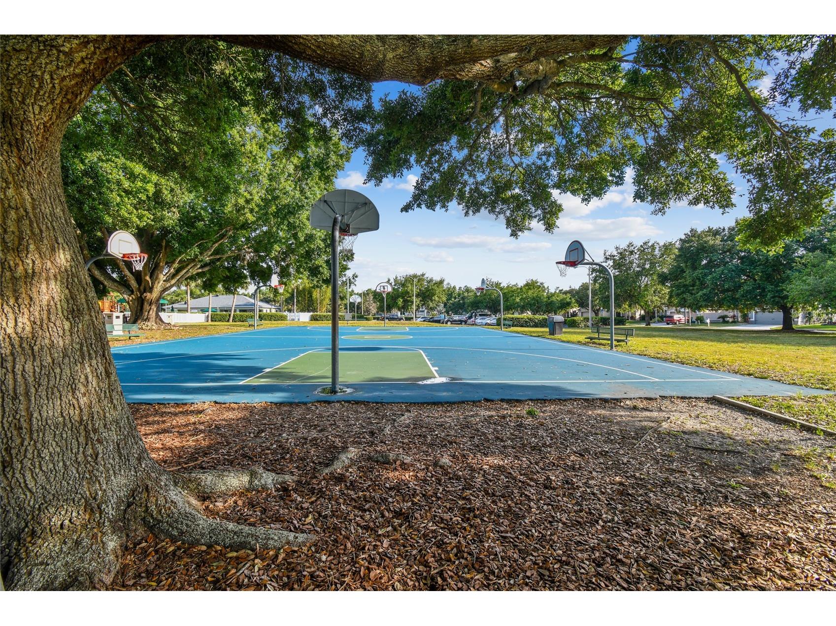 4723 Wessex Way Land O Lakes FL 34639 TB8506990 image99