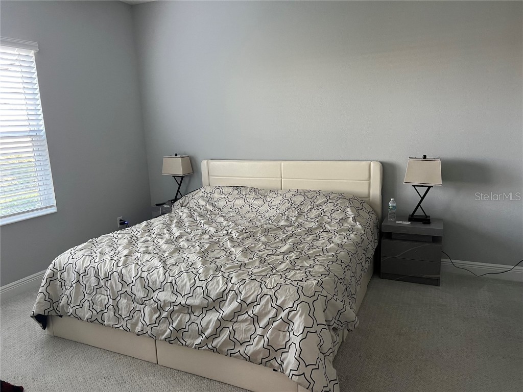 4723 Willow Bend Avenue Parrish FL 34219 A4592428 image13