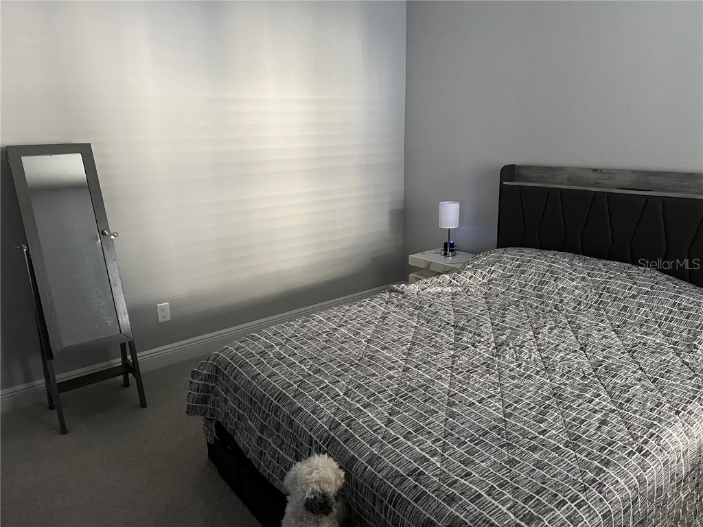 4723 Willow Bend Avenue Parrish FL 34219 A4592428 image23