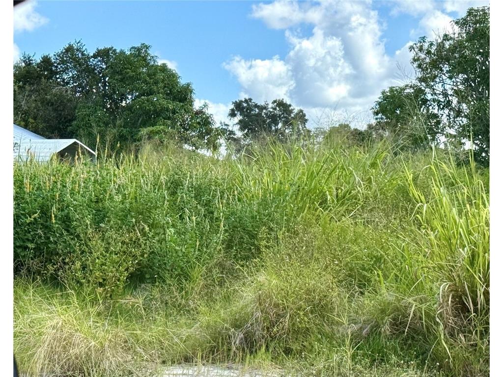 4724 16th Avenue E Palmetto FL 34221 A4667784 image1