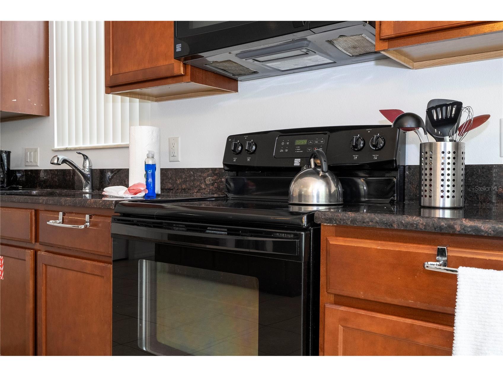 4724 Blue Diamond Street Kissimmee FL 34746 S5148184 image15