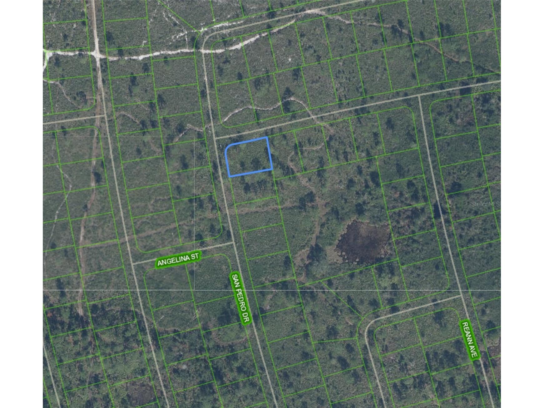 4724 San Pedro Drive Sebring FL 33872 P4938552 image1