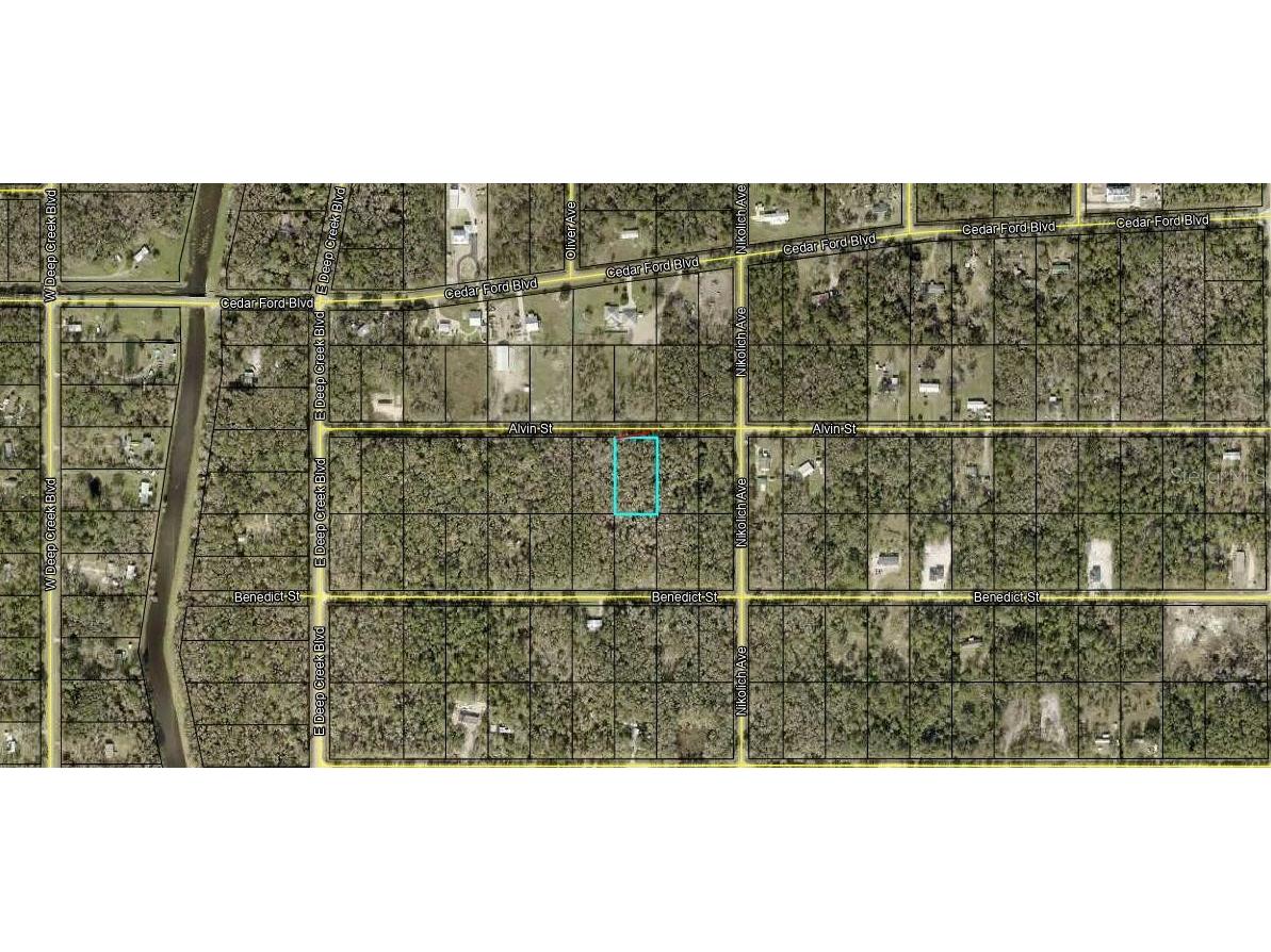 4725 Alvin Street Hastings FL 32145 A4576452 image1