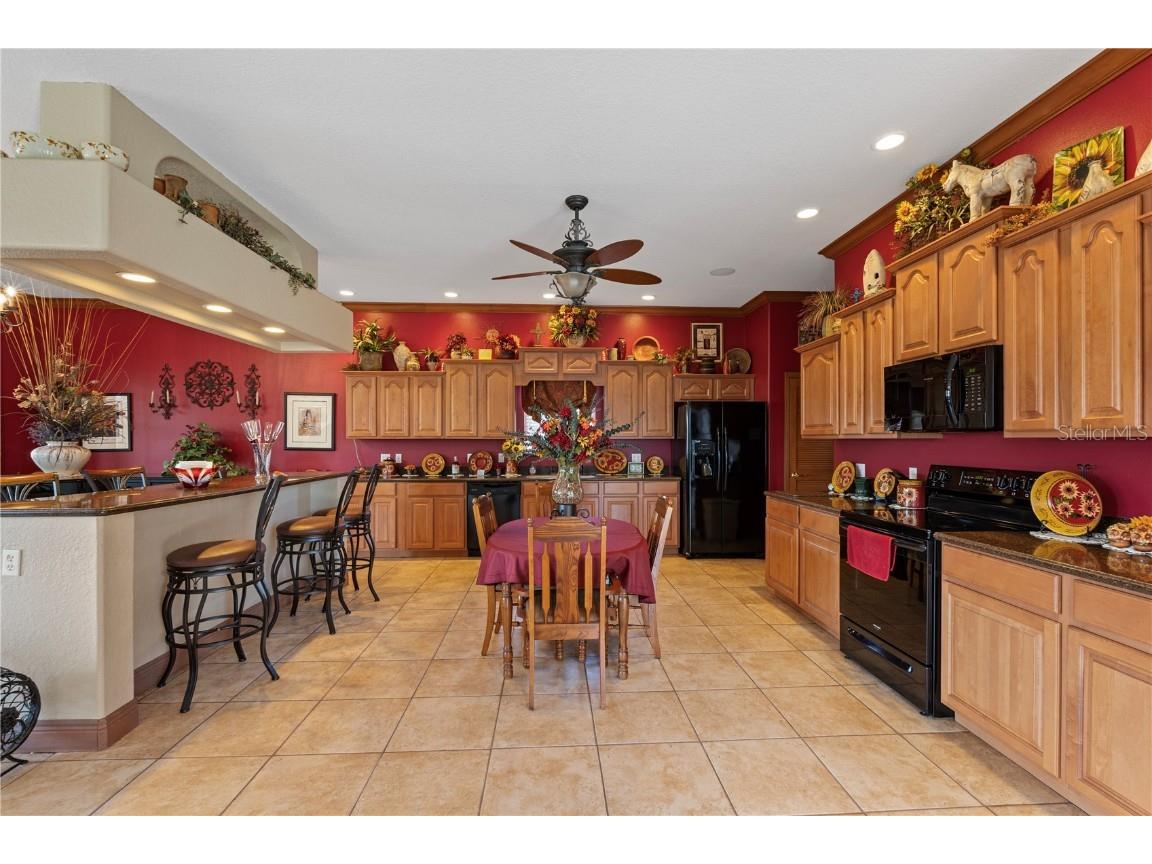 4725 County Road 121d Wildwood FL 34785 OM701123 image8