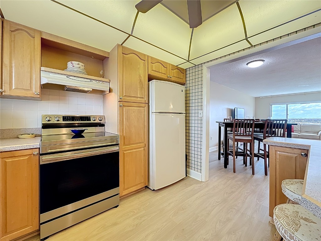 4725 Cove Circle #810 Saint Petersburg FL 33708 TB8444426 image15