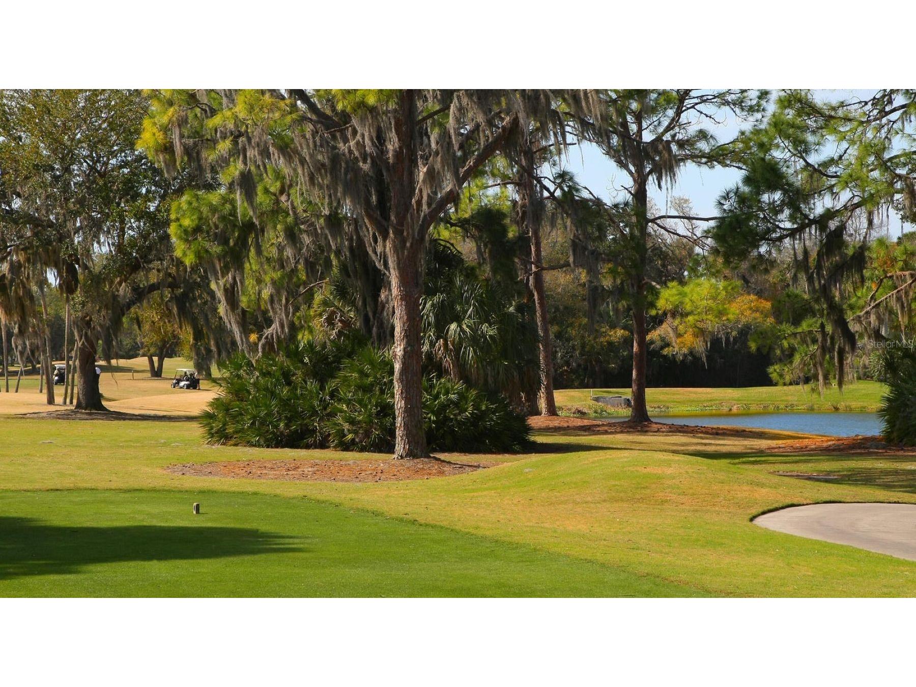 4725 Greencroft Road Sarasota FL 34235 A4679547 image28