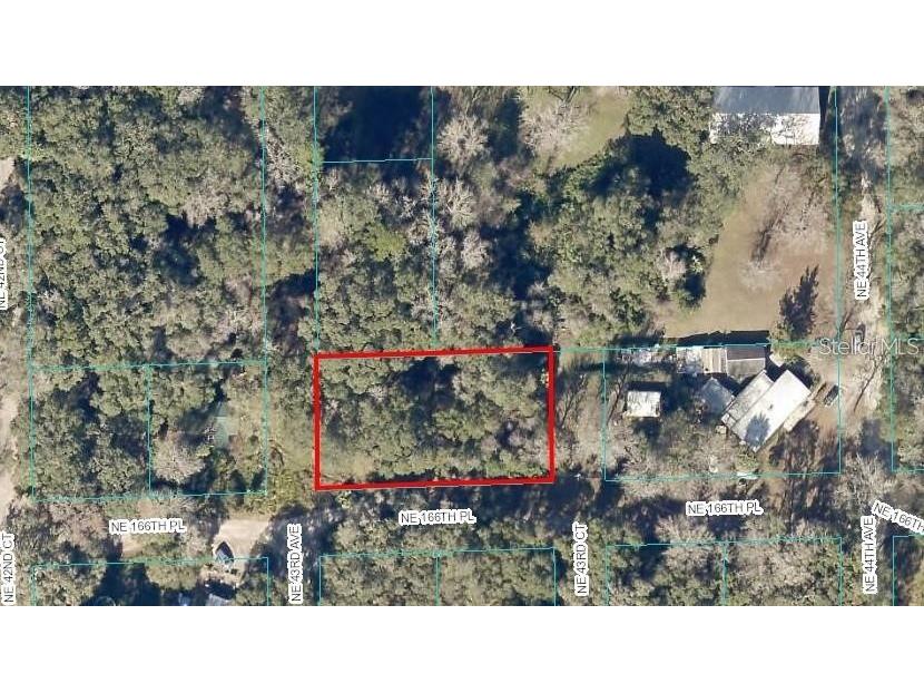 4725 NE 166th Place Citra FL 32113 A4579875 image1