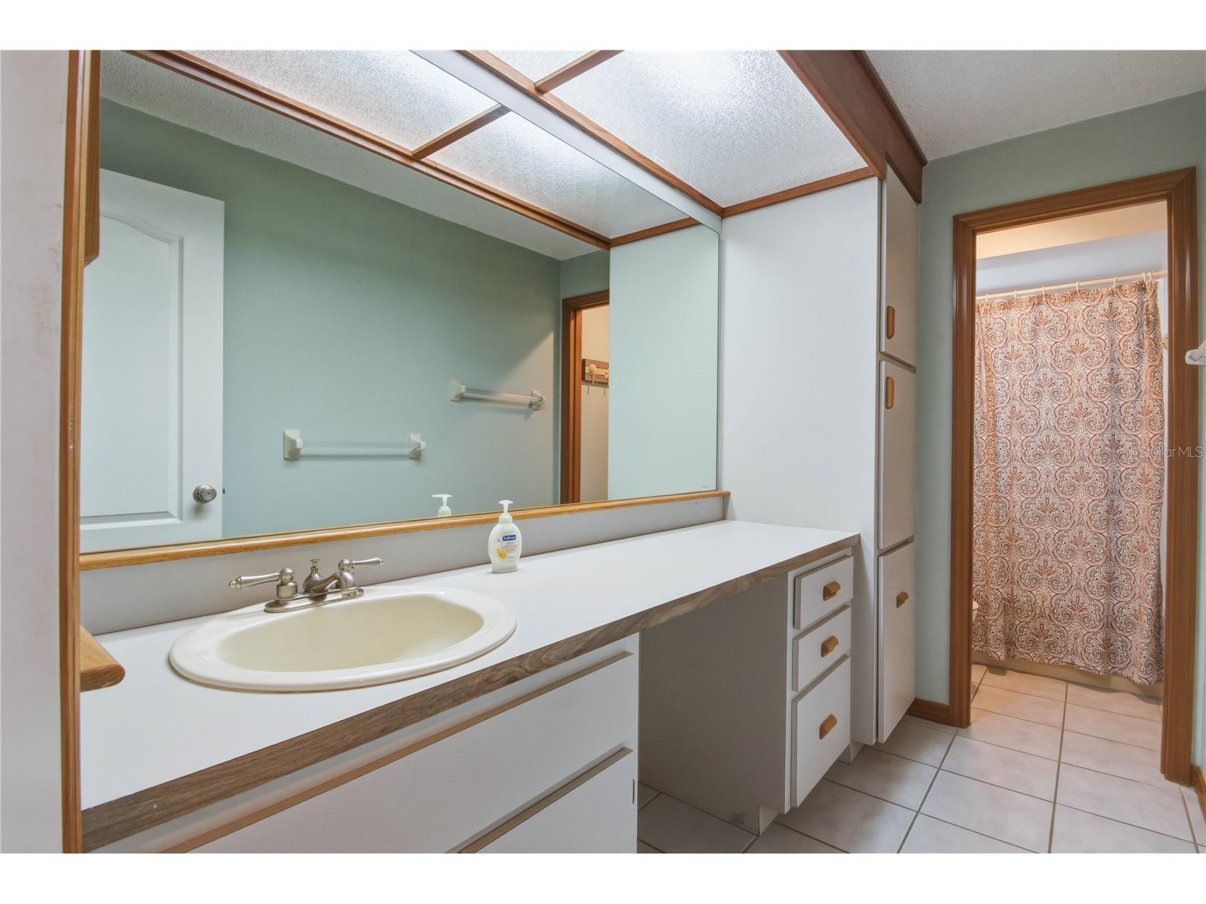 4725 Orange Grove Way Palm Harbor FL 34684 TB8495330 image26