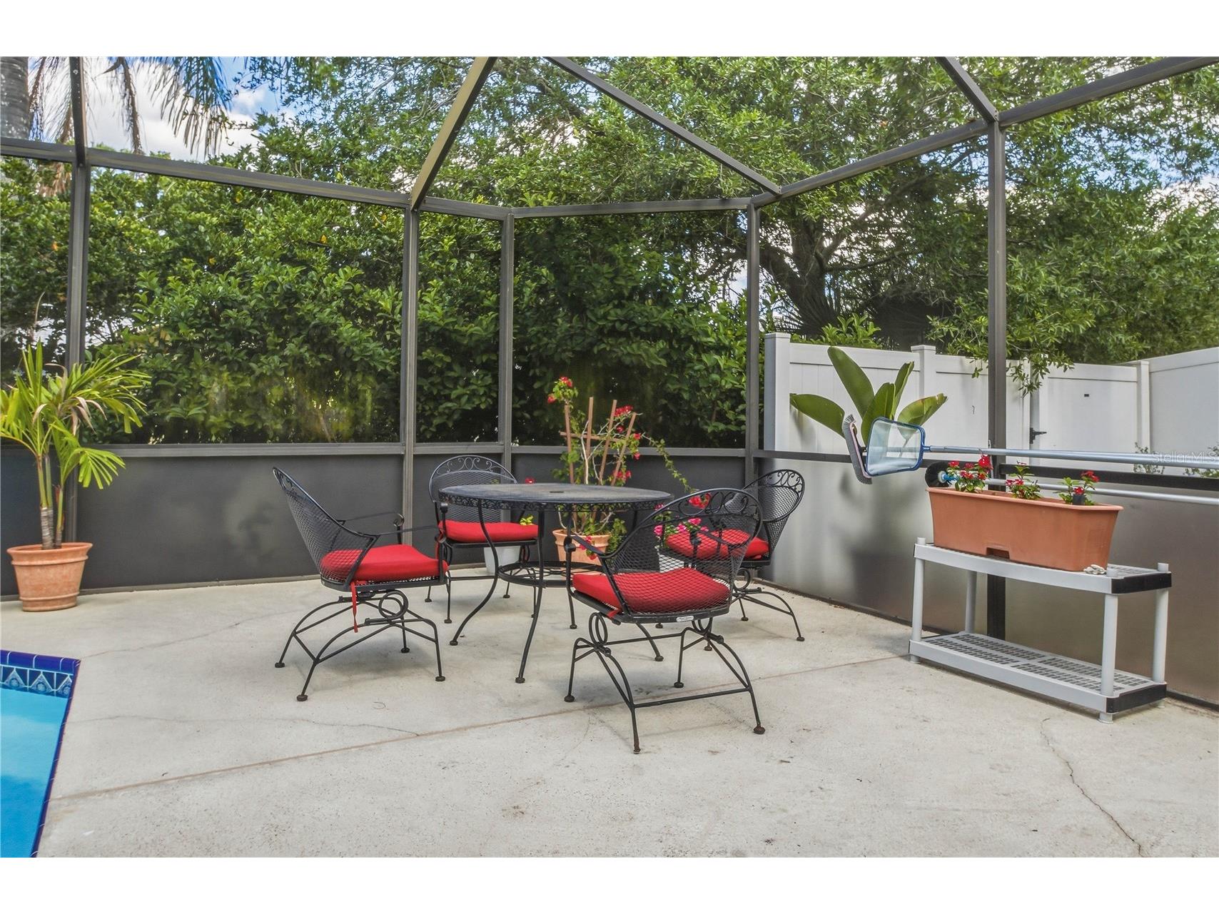 4725 Orange Grove Way Palm Harbor FL 34684 TB8495330 image32