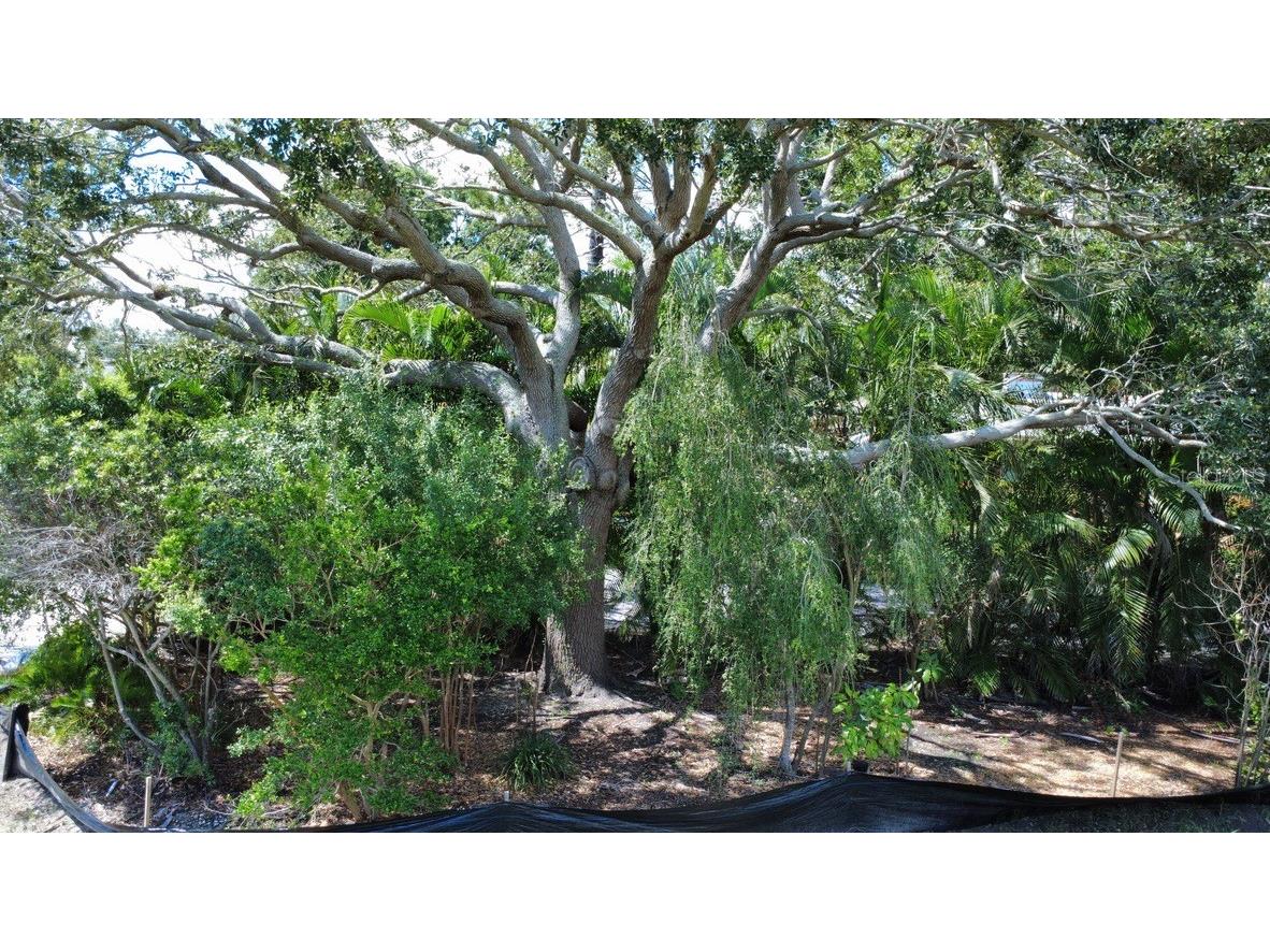4725 Trade Winds Drive S Gulfport FL 33711 TB8402906 image7
