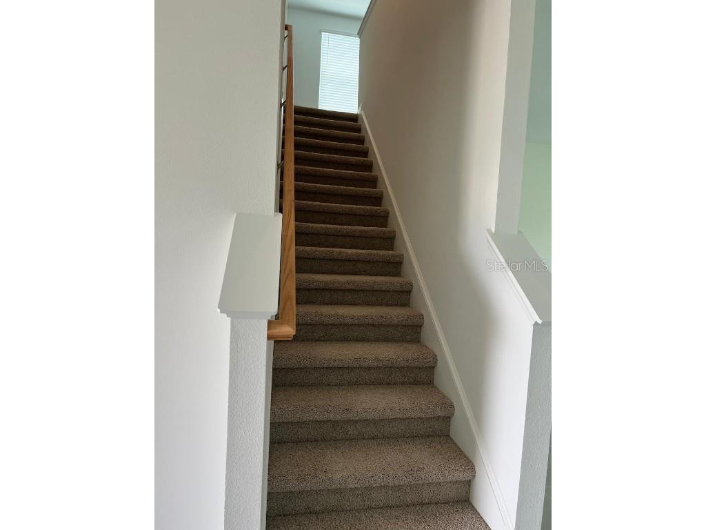 4725 Vellacito Way Davenport FL 33897 S5139491 image3