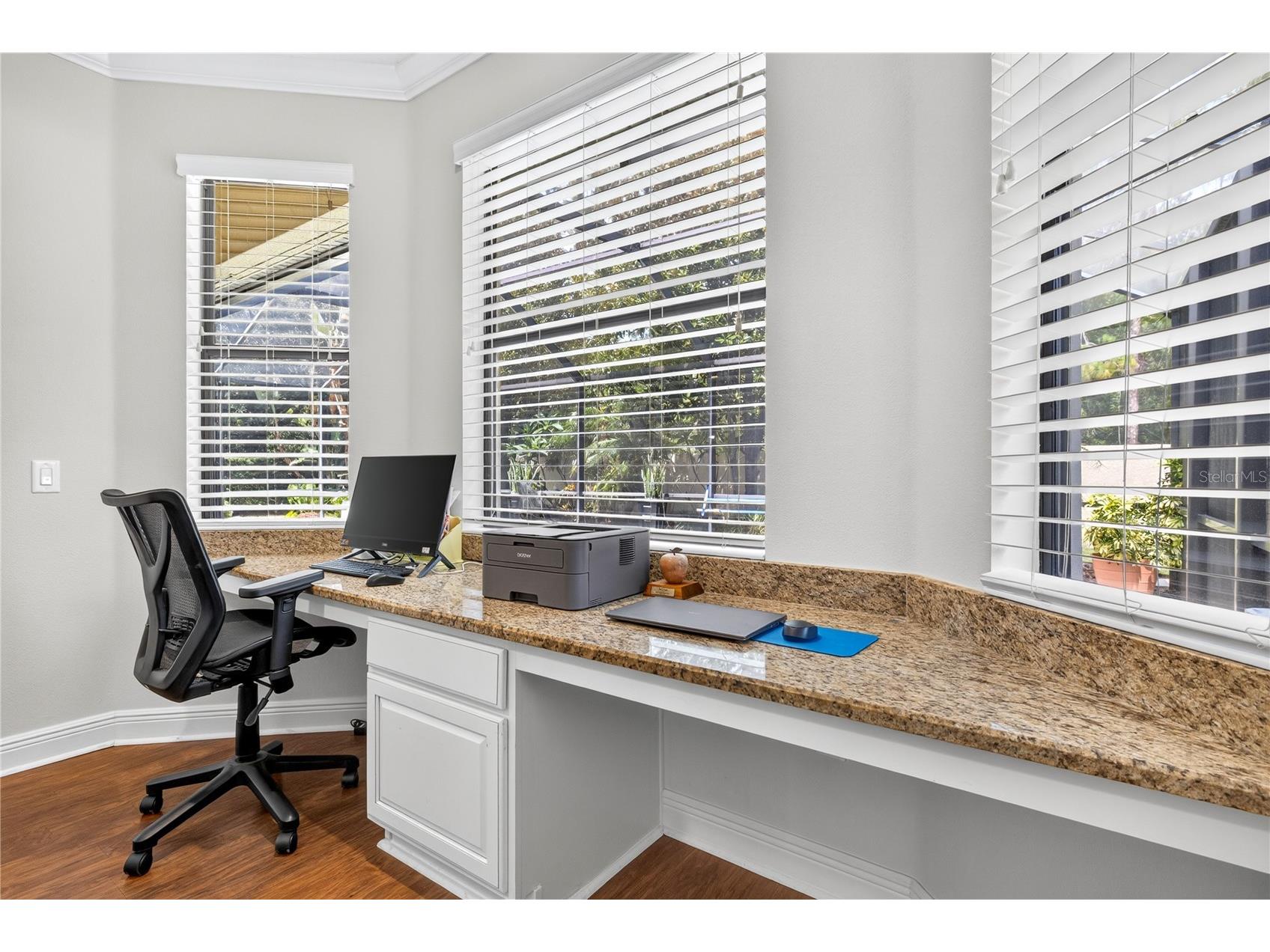 4726 Lago Vista Circle Land O Lakes FL 34639 TB8520859 image35
