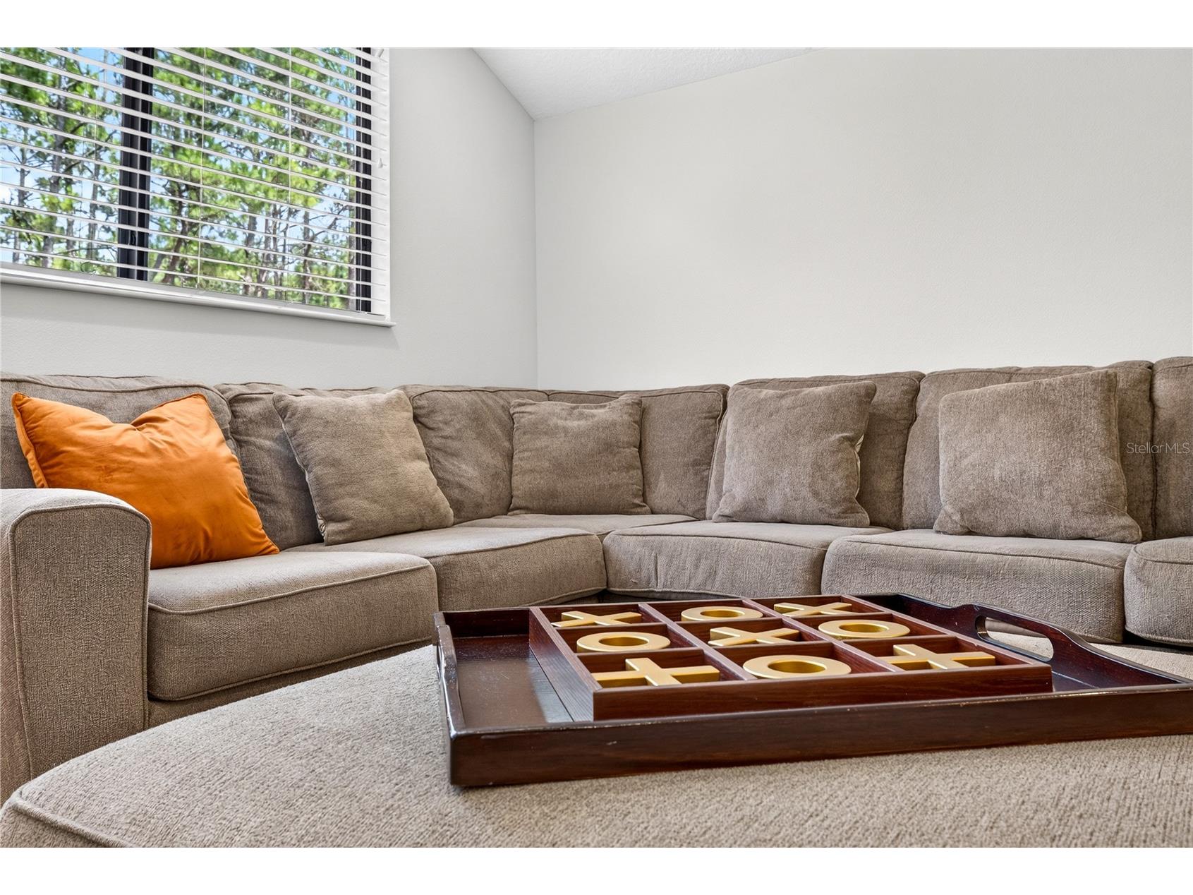 4726 Lago Vista Circle Land O Lakes FL 34639 TB8520859 image50