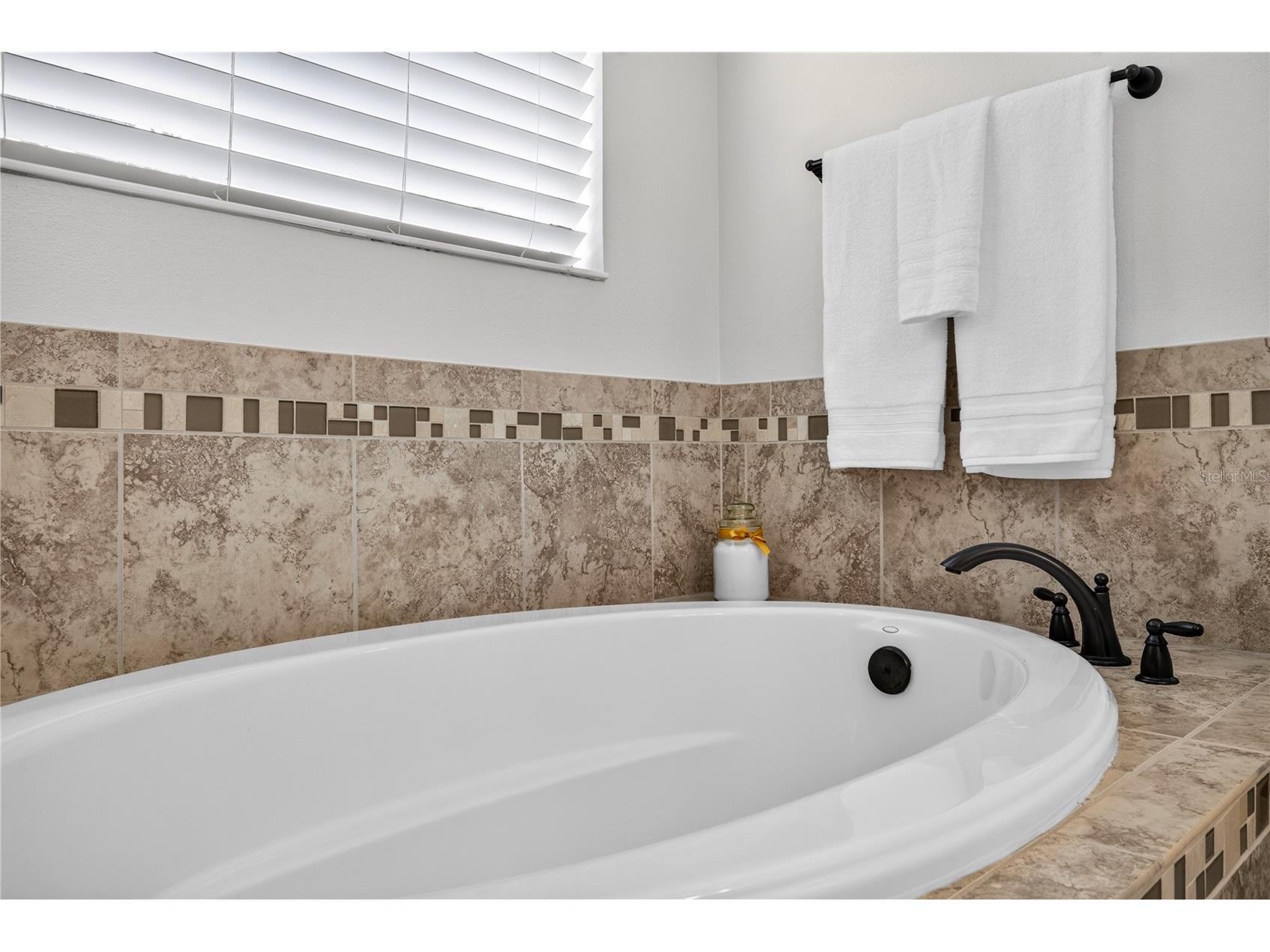 4726 Lago Vista Circle Land O Lakes FL 34639 TB8520859 image59