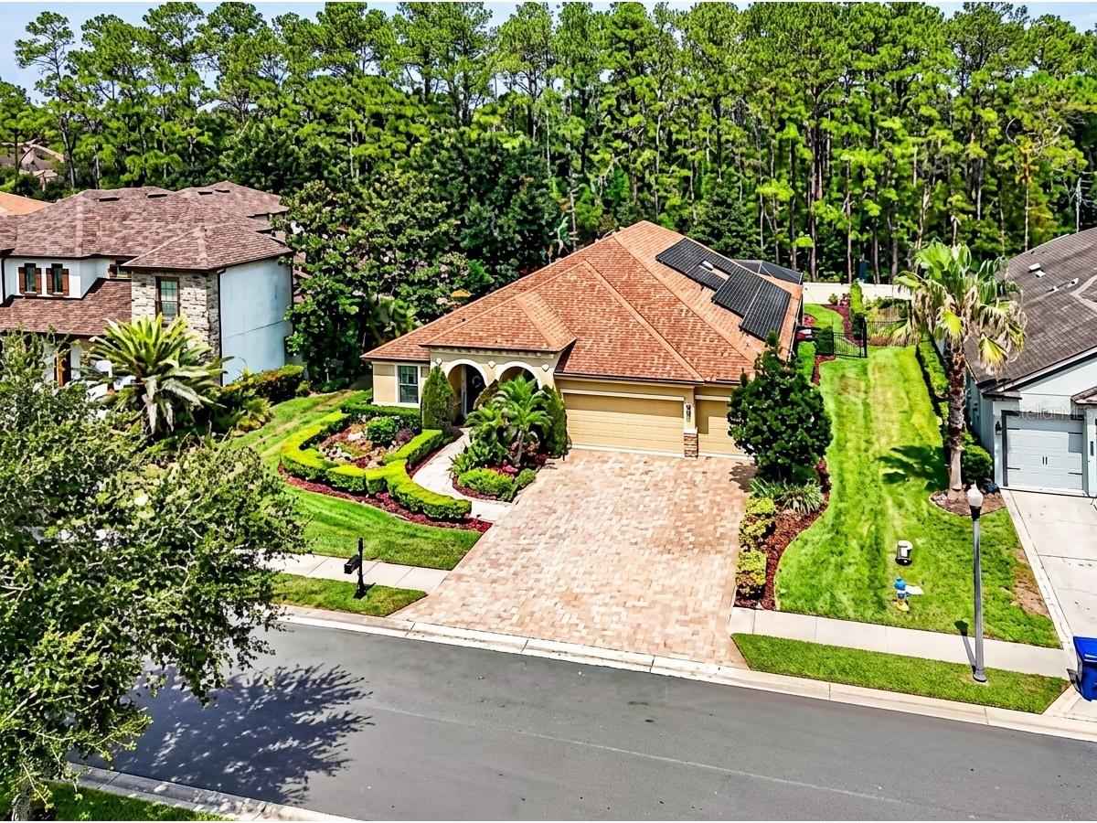 4726 Lago Vista Circle Land O Lakes FL 34639 TB8520859 image75
