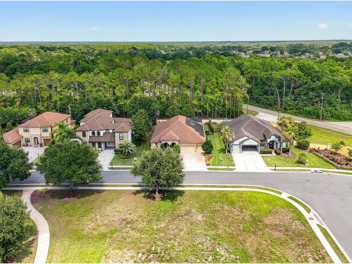 4726 Lago Vista Circle Land O Lakes FL 34639 TB8520859 image79