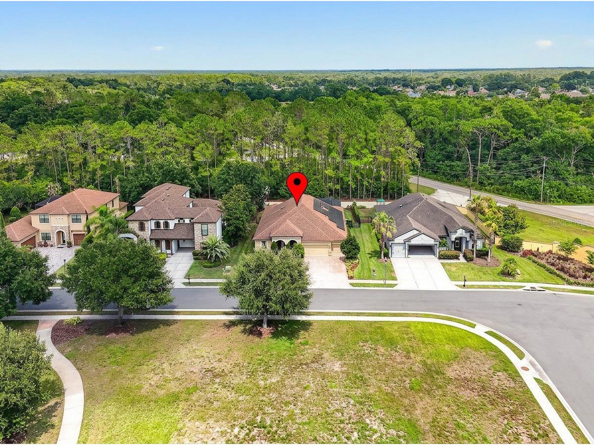 4726 Lago Vista Circle Land O Lakes FL 34639 TB8520859 image80