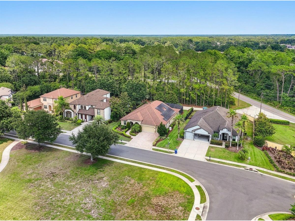 4726 Lago Vista Circle Land O Lakes FL 34639 TB8520859 image81