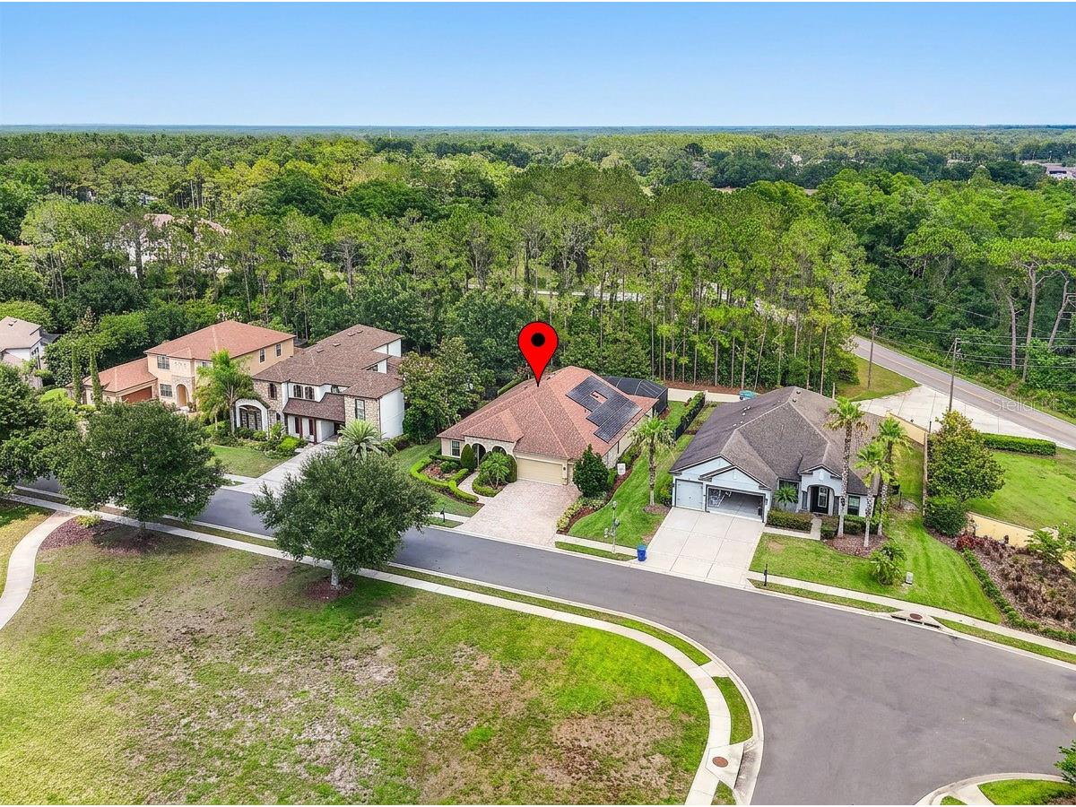4726 Lago Vista Circle Land O Lakes FL 34639 TB8520859 image82