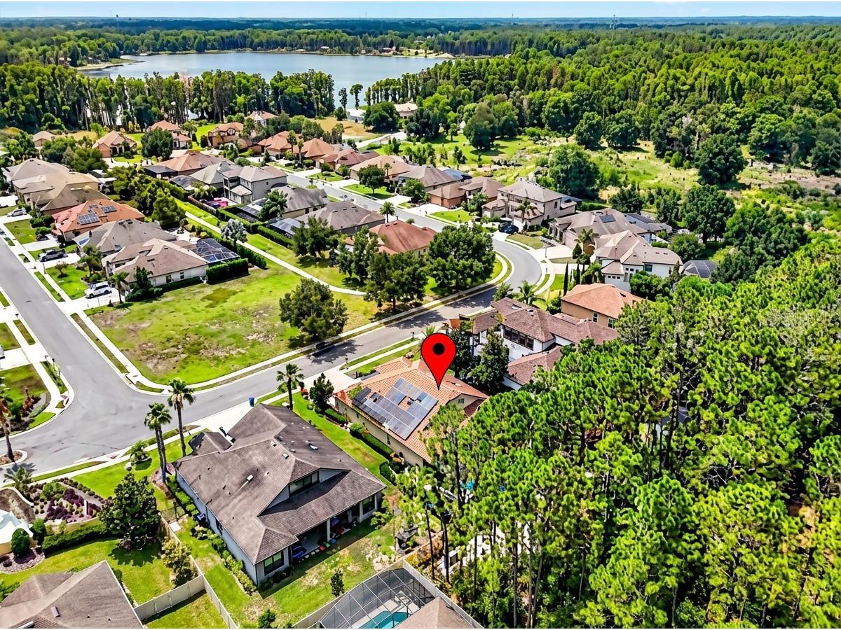 4726 Lago Vista Circle Land O Lakes FL 34639 TB8520859 image83