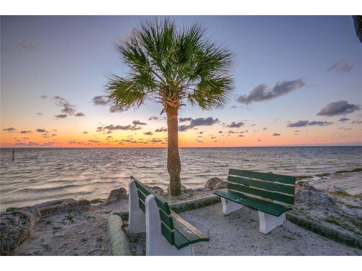 4726 Marine Parkway #104 New Port Richey FL 34652 TB8430179 image28