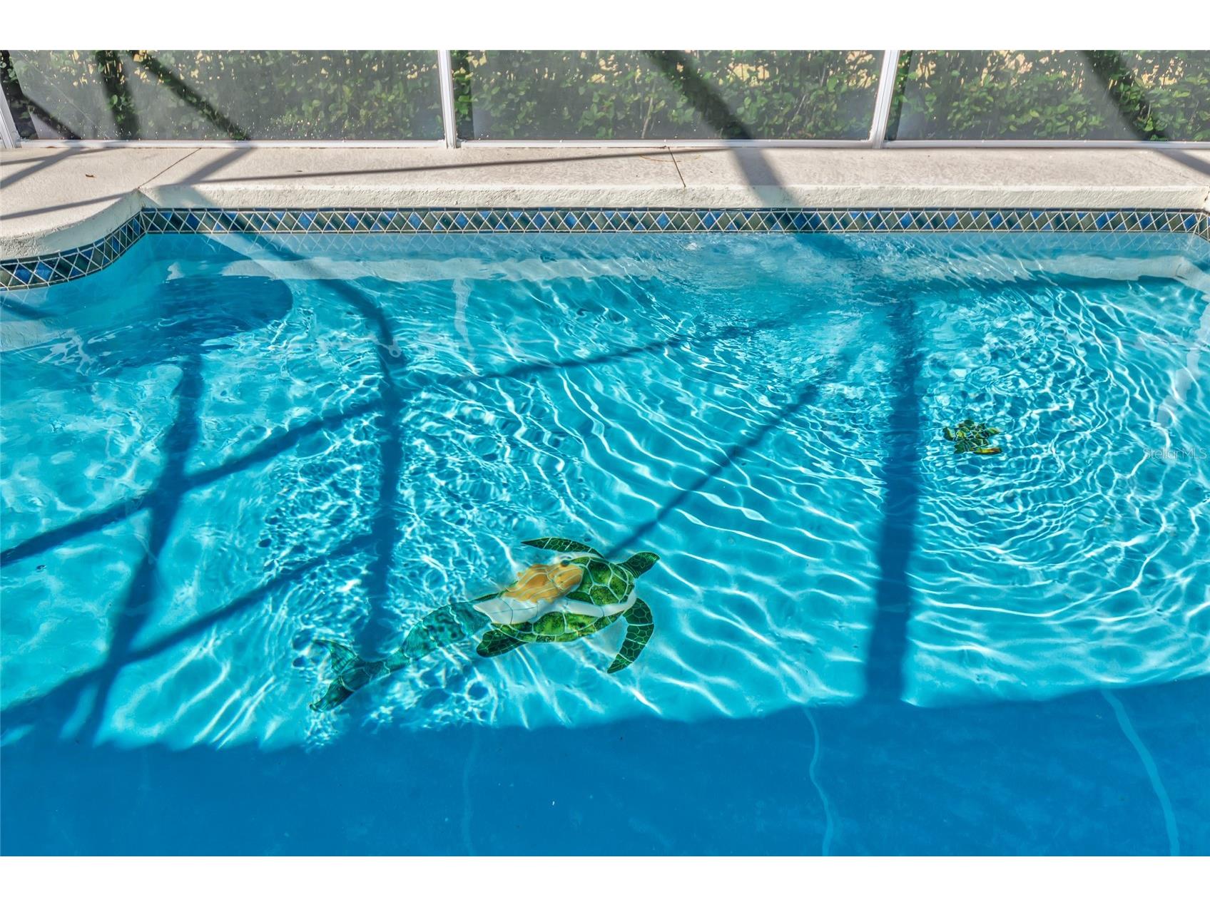 4726 Old Farm Road Sarasota FL 34233 A4681786 image31