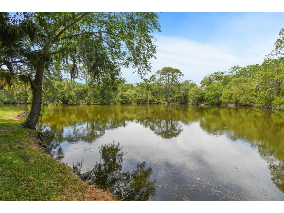 4726 Pebble Brook Drive Oldsmar FL 34677 U8240467 image1