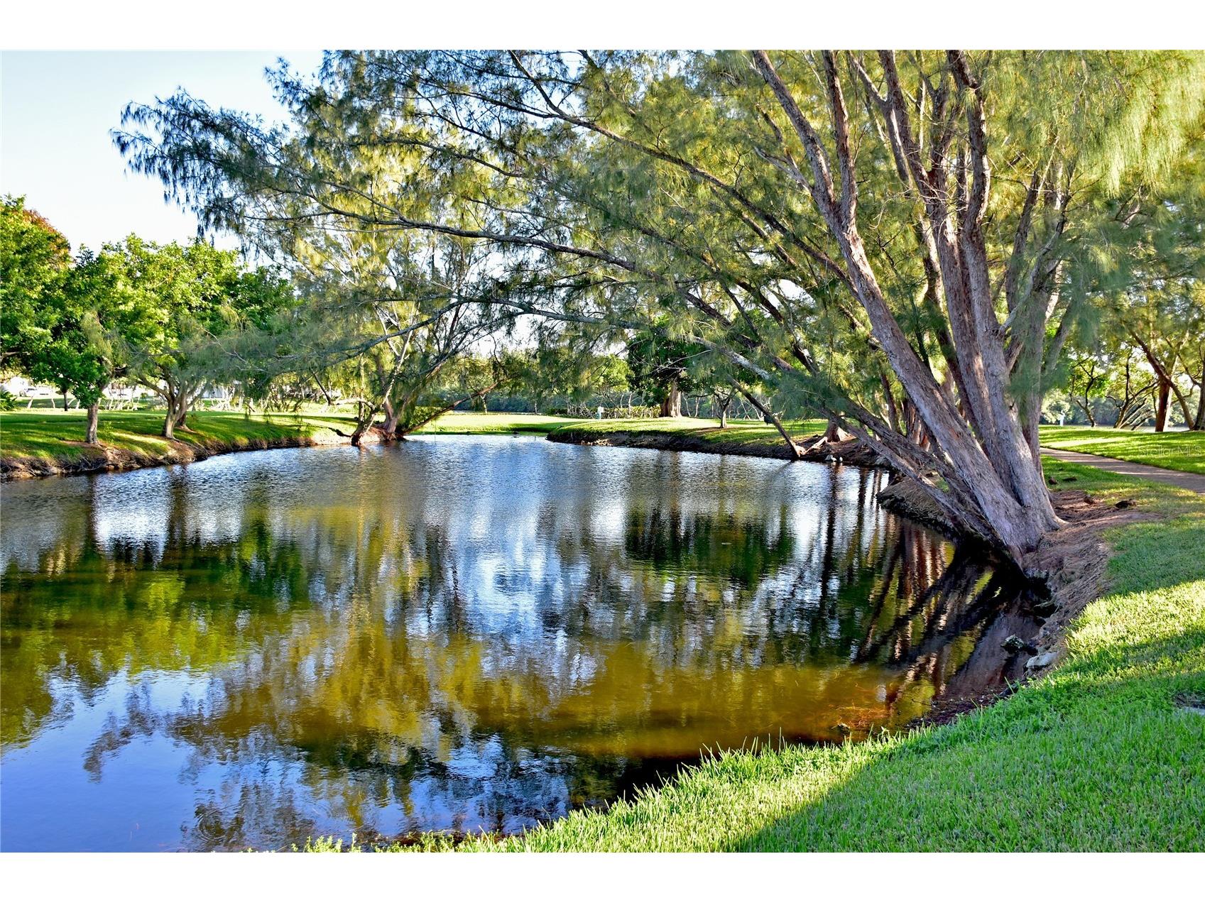 4726 Potomac Circle Bradenton FL 34210 - SARASOTA BAY A4688661 image55