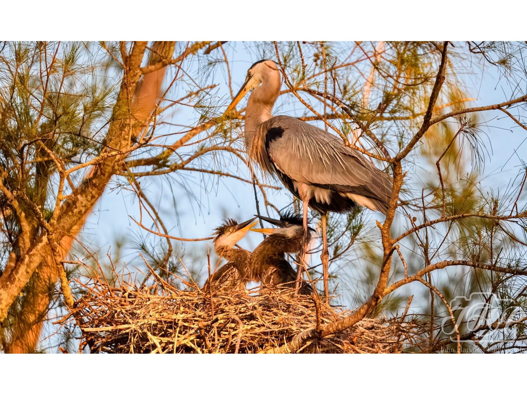 4726 Potomac Circle Bradenton FL 34210 - SARASOTA BAY A4688661 image57