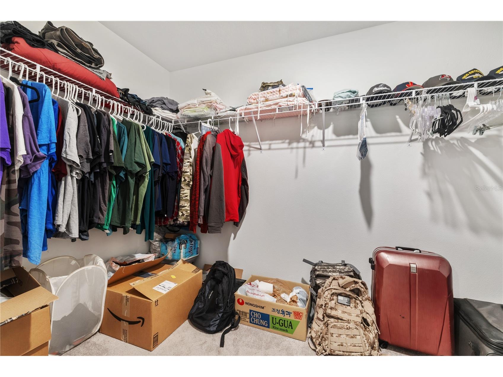 4726 Wild Senna Boulevard Tampa FL 33619 TB8498764 image15