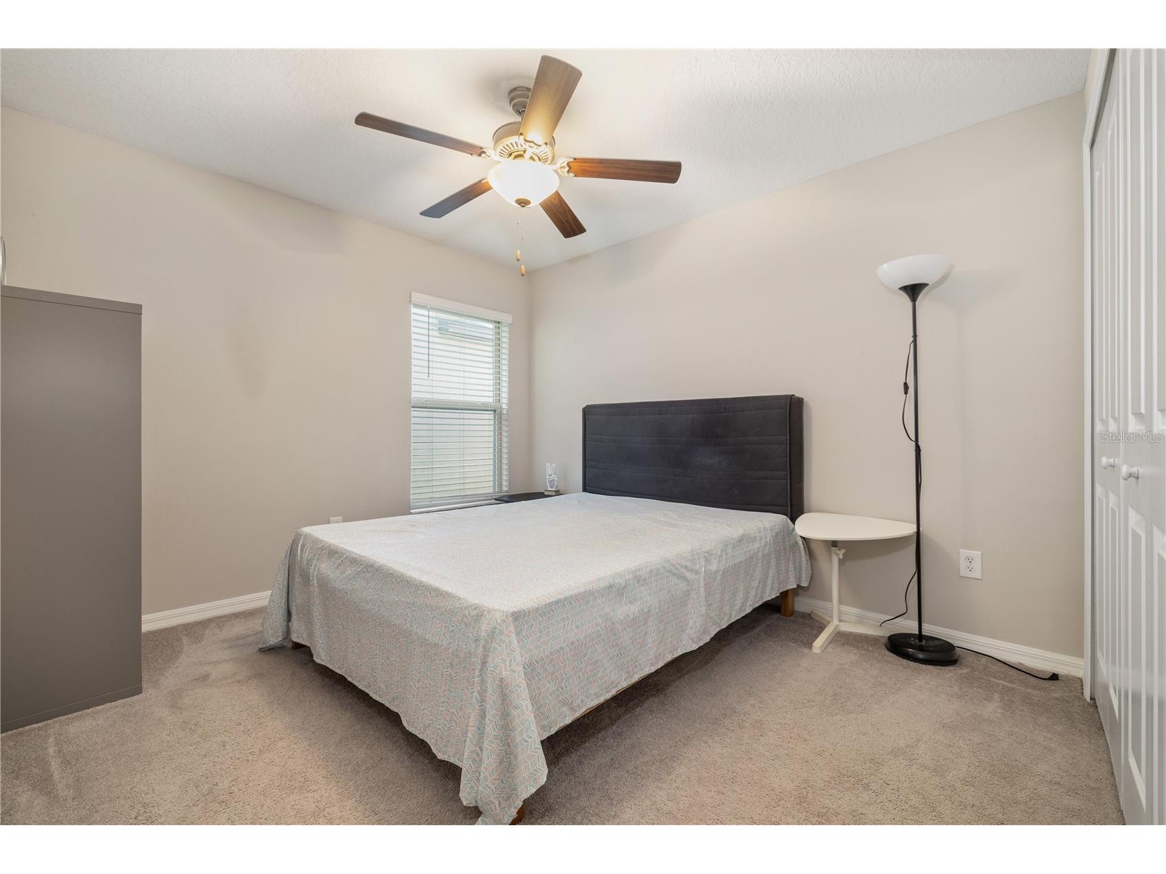 4726 Wild Senna Boulevard Tampa FL 33619 TB8498764 image17