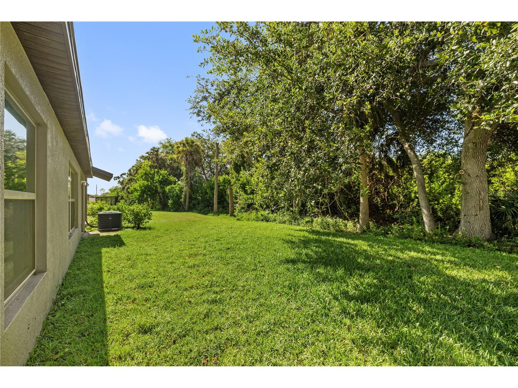 4726 Wild Senna Boulevard Tampa FL 33619 TB8498764 image21
