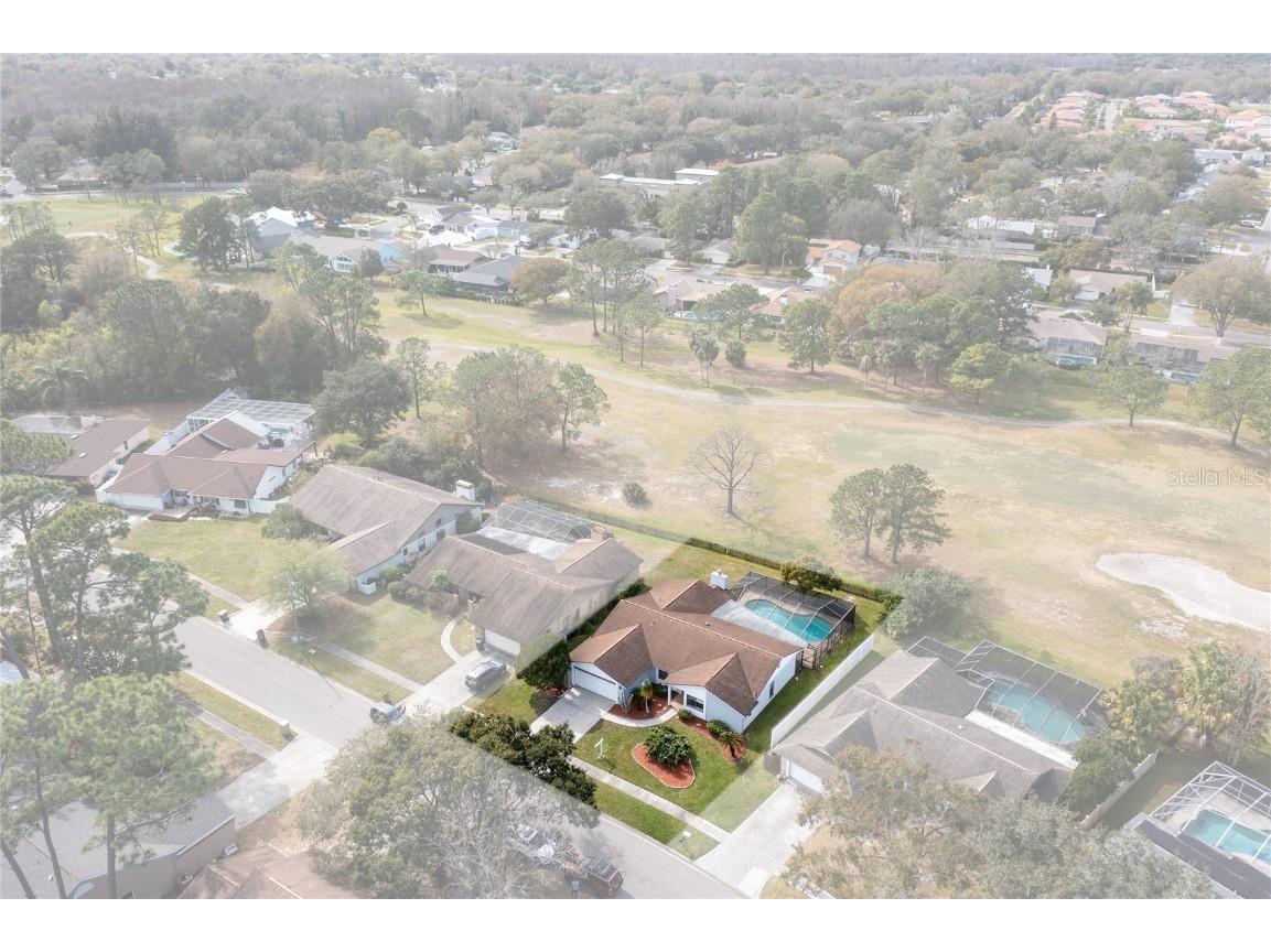 4726 Windflower Circle Tampa FL 33624 TB8345311 image38