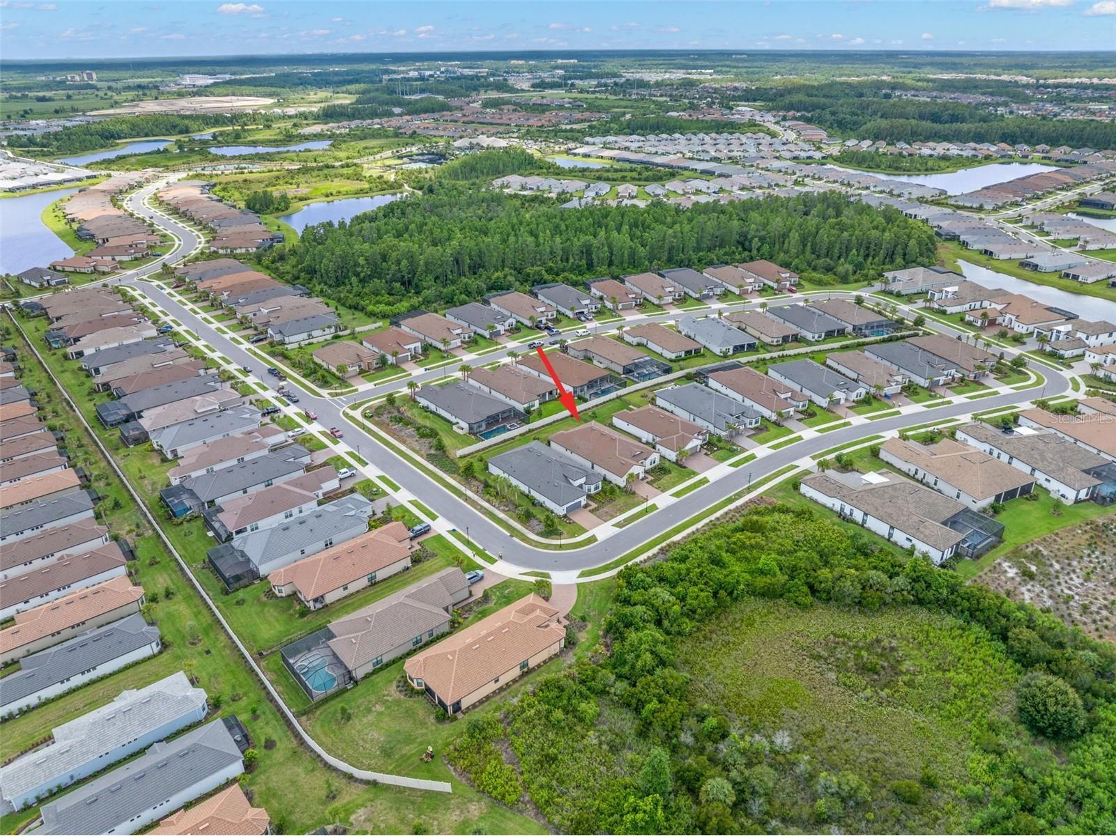 4727 Freccia Loop Wesley Chapel FL 33543 TB8523255 image44