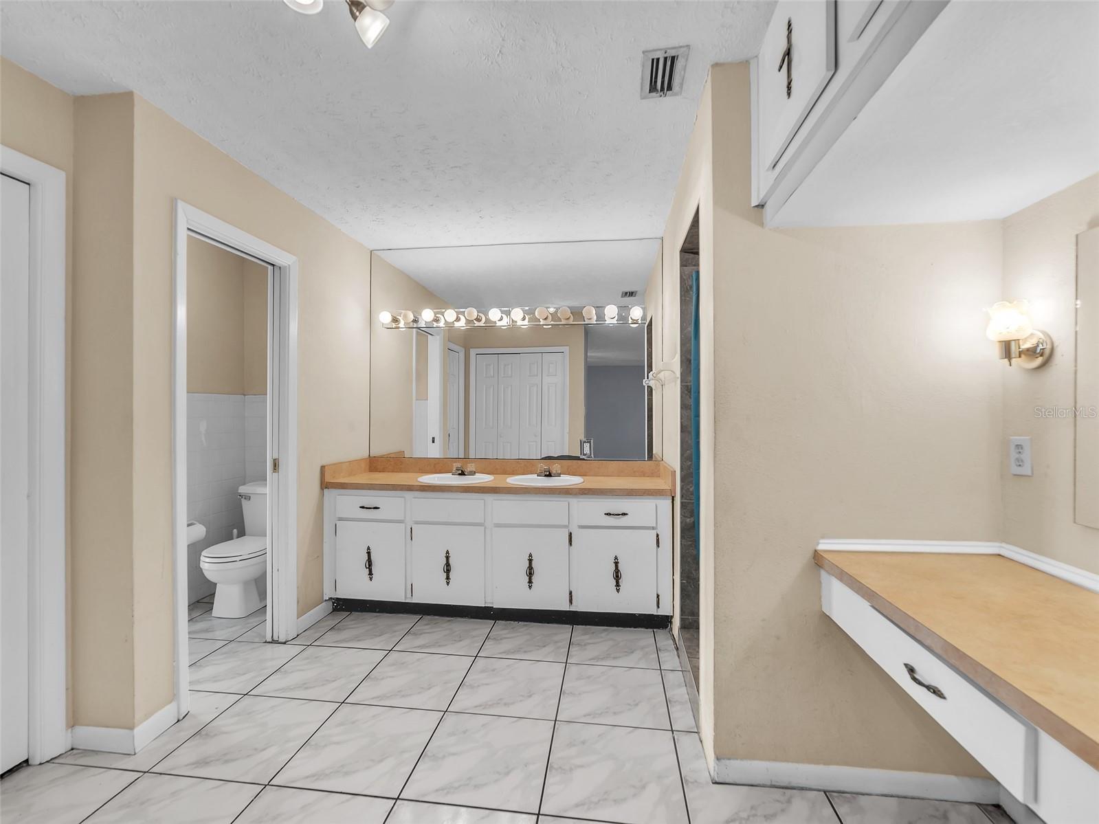 4727 Steel Dust Lane Lutz FL 33559 TB8486366 image11