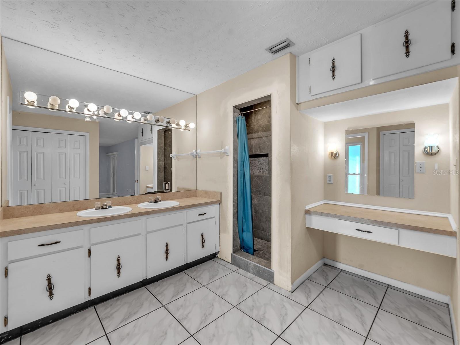 4727 Steel Dust Lane Lutz FL 33559 TB8486366 image12