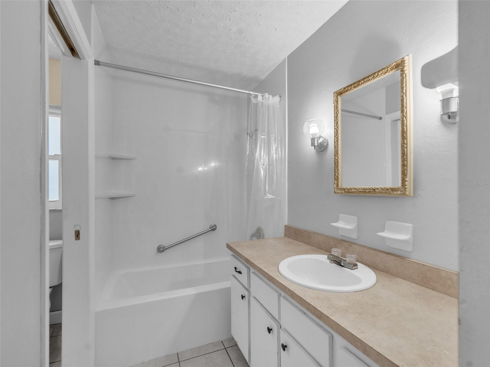 4727 Steel Dust Lane Lutz FL 33559 TB8486366 image14