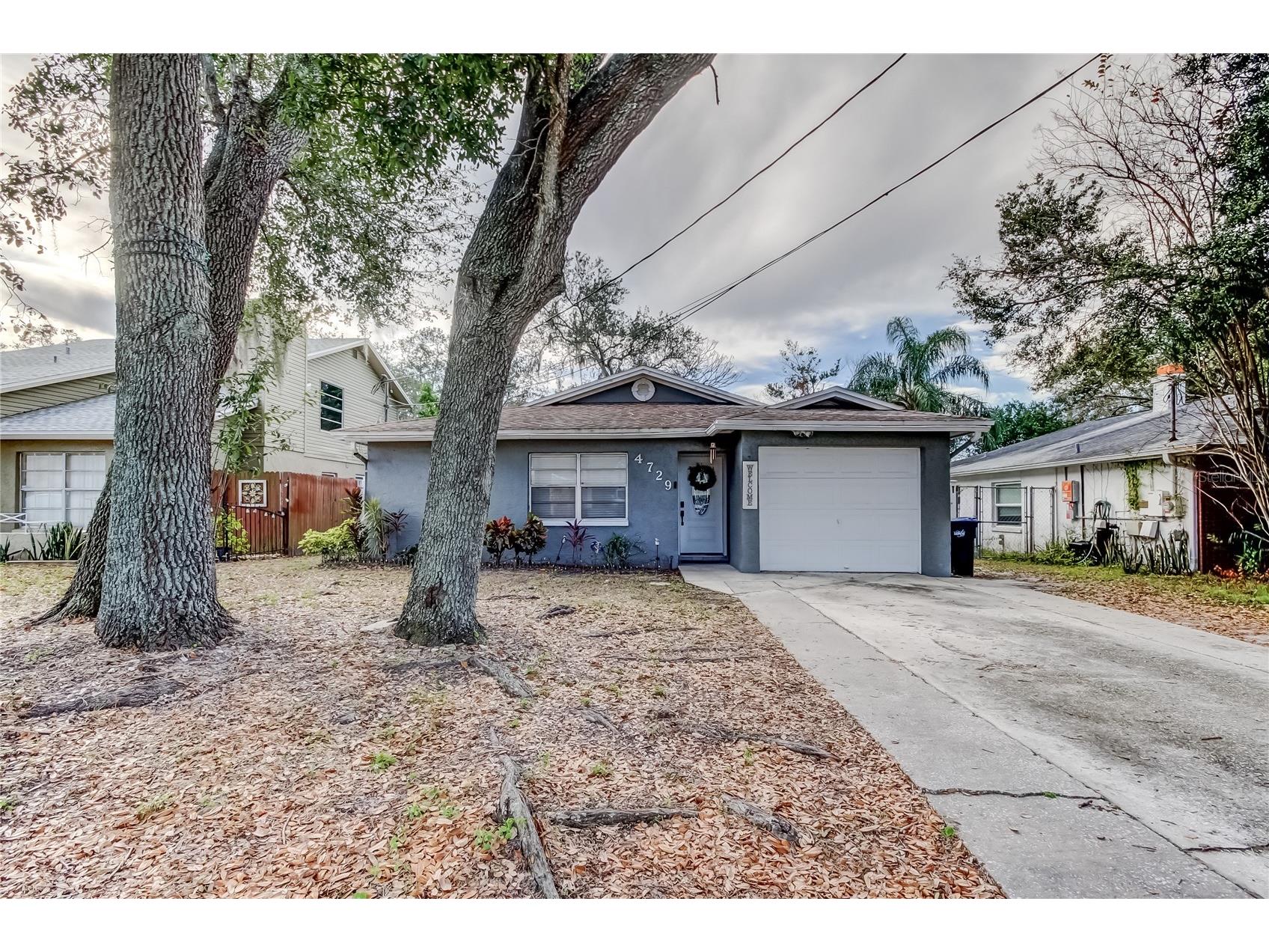4729 E Serena Drive Tampa FL 33617 TB8456816 image1