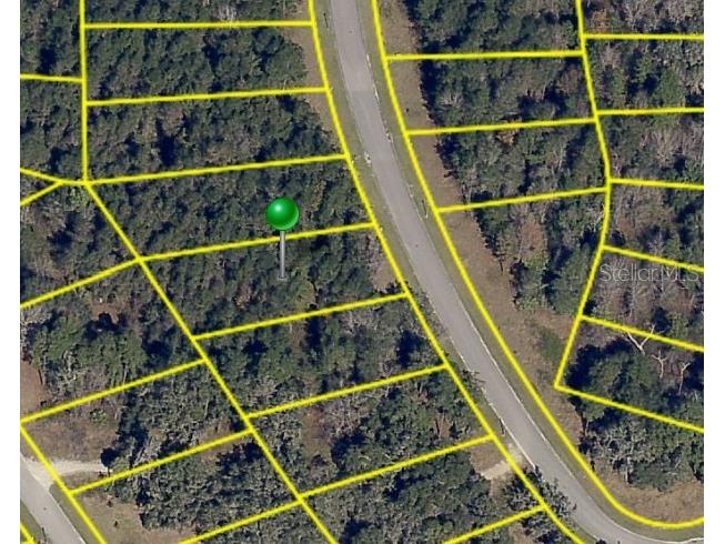 4729 Majestic Hills Loop Brooksville FL 34601 T3431533 image1