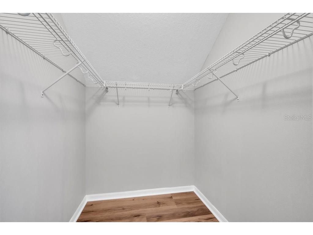 4729 White Bay Circle Wesley Chapel FL 33545 TB8495133 image20