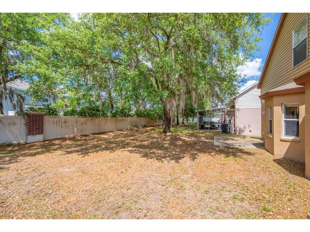 4729 White Bay Circle Wesley Chapel FL 33545 TB8495133 image26
