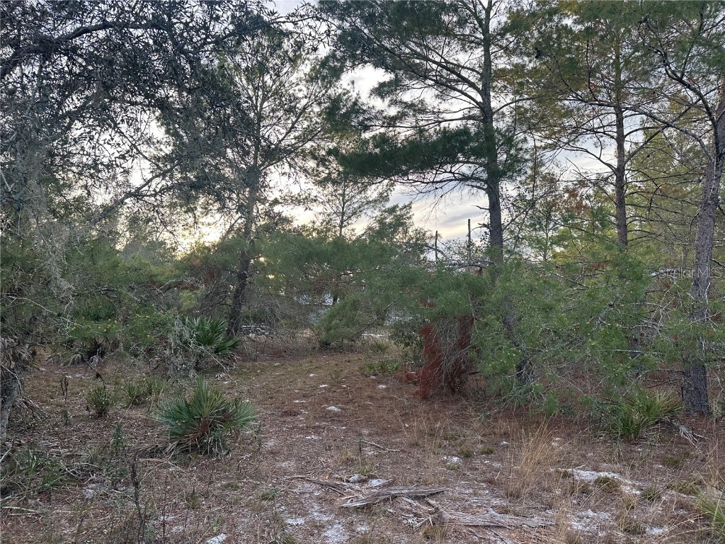 473 Hobbs Drive Venus FL 33960 C7514153 image12