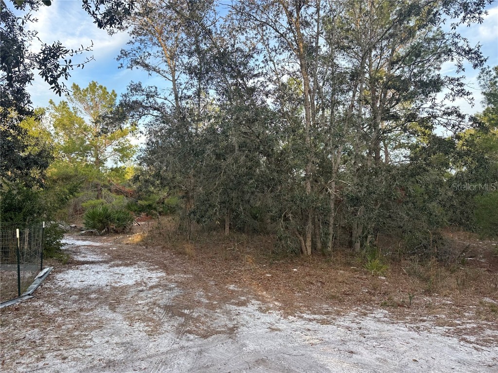 473 Hobbs Drive Venus FL 33960 C7514153 image14