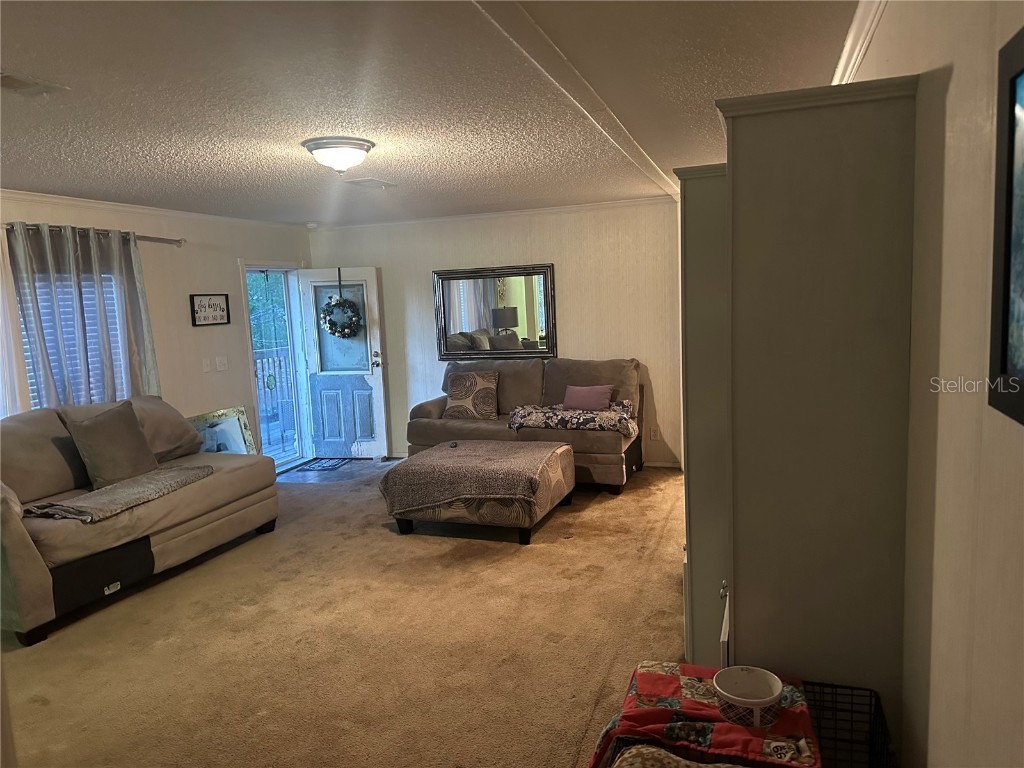 473 Hobbs Drive Venus FL 33960 C7514153 image23