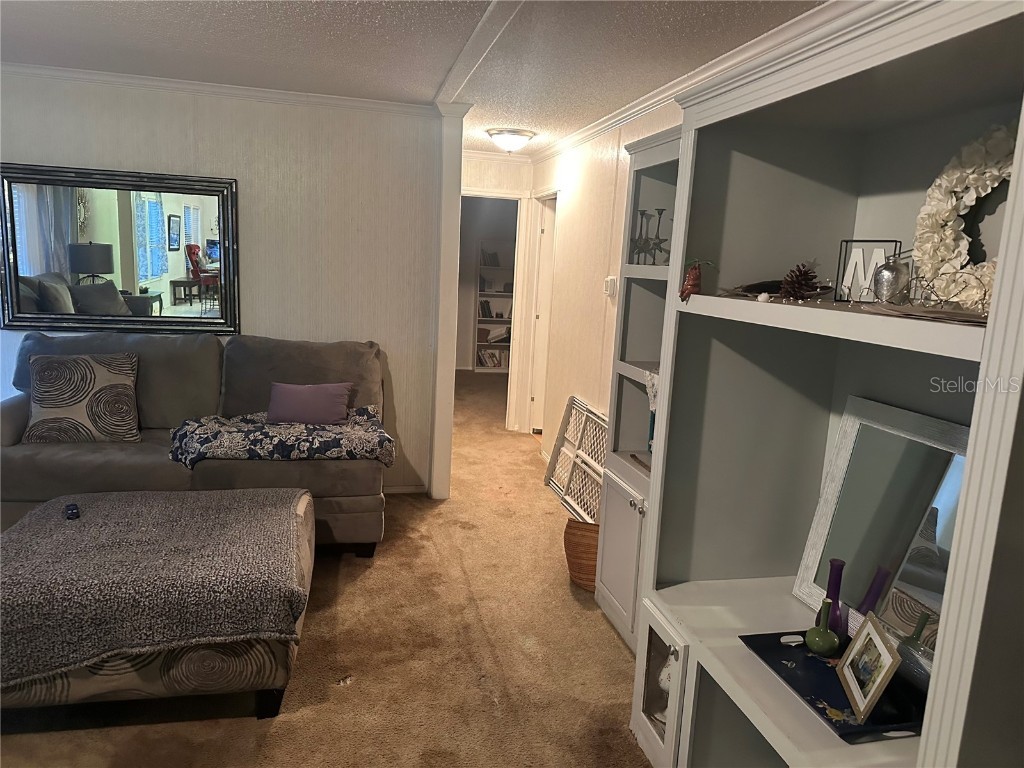 473 Hobbs Drive Venus FL 33960 C7514153 image33