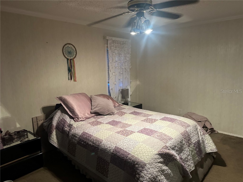 473 Hobbs Drive Venus FL 33960 C7514153 image39